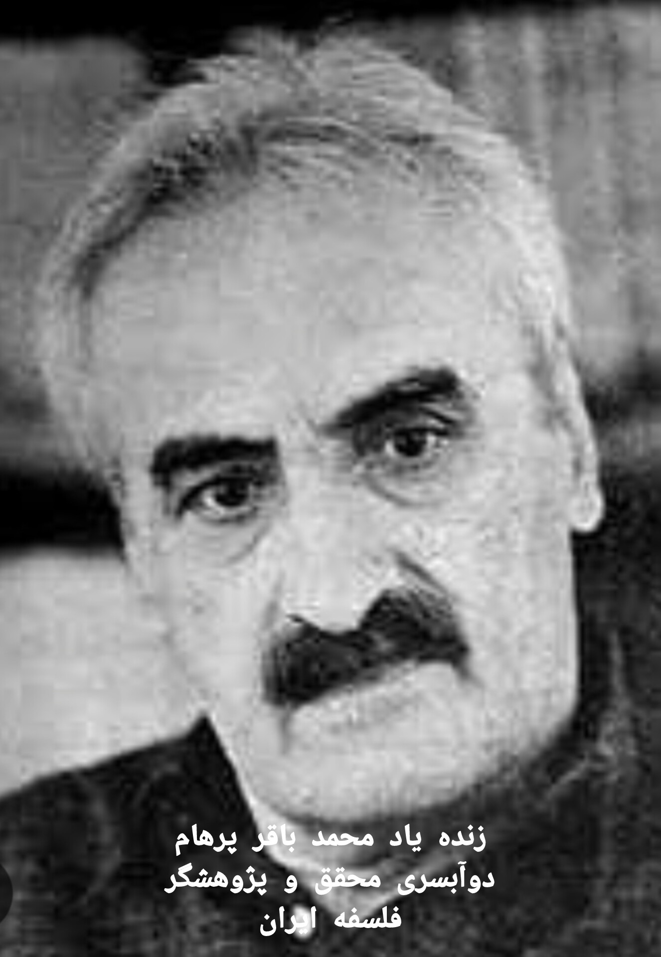 هدر سایت