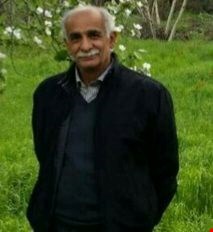 زیتون و استحصال روغن زیتون در رستم آباد رودبار 